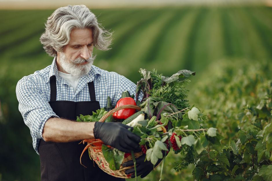 organic agricultural supplies