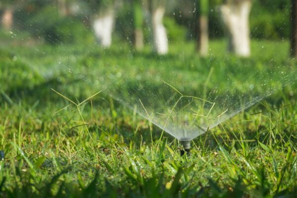 irrigation system